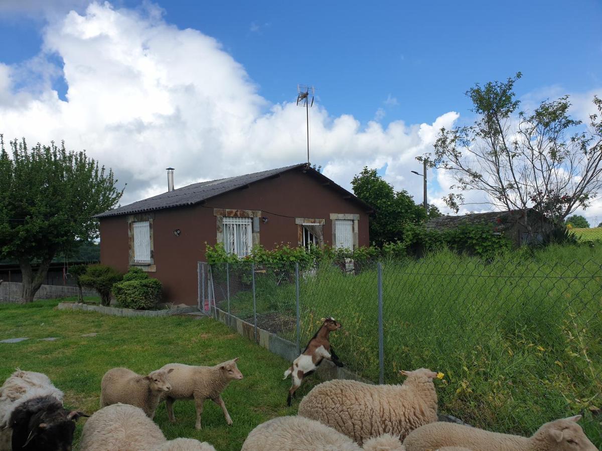 Anamar Villa Lugo Bagian luar foto